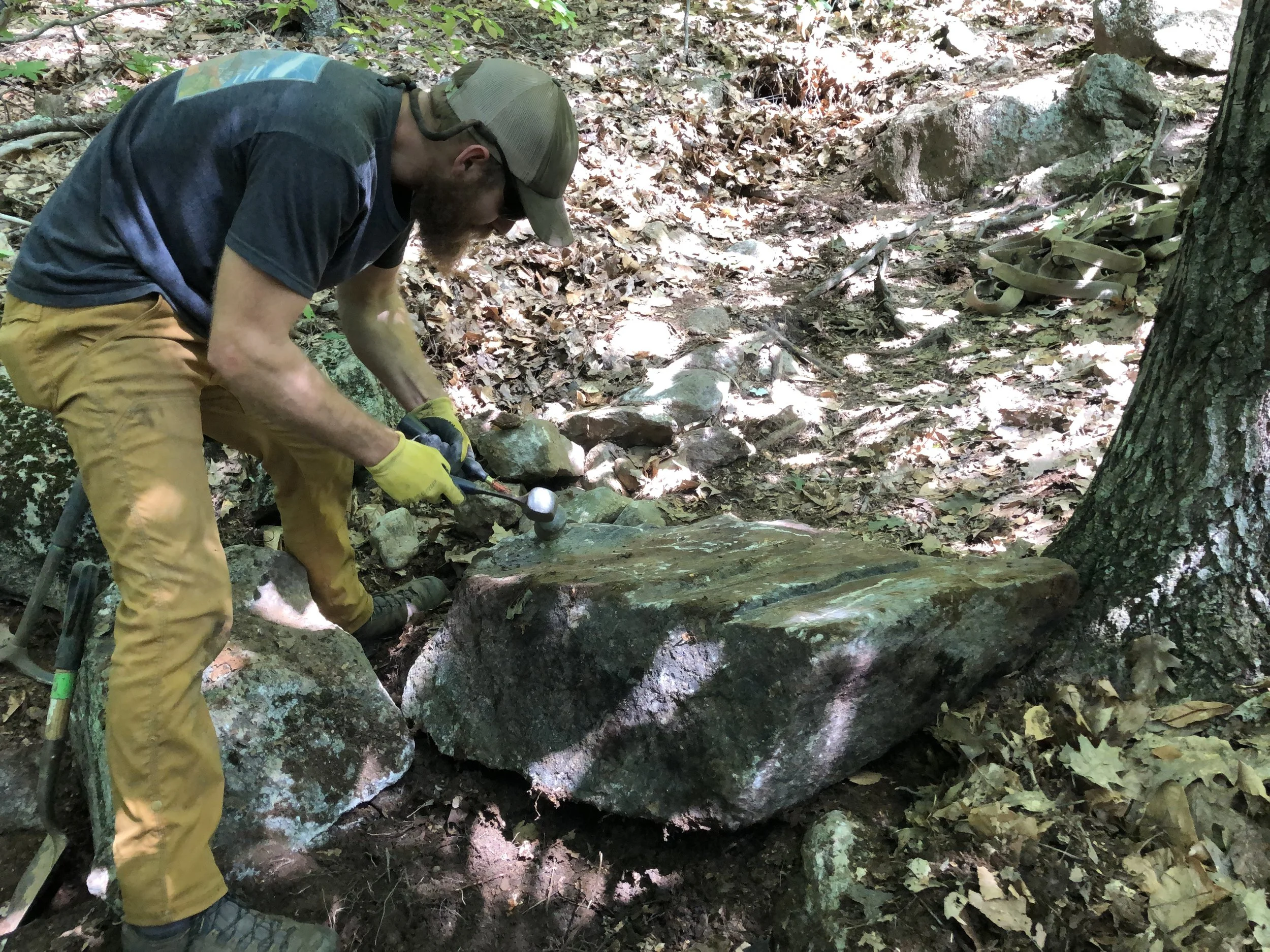 Stewardship at Barrett's Cove: Caring for the Climbing Areas We Love