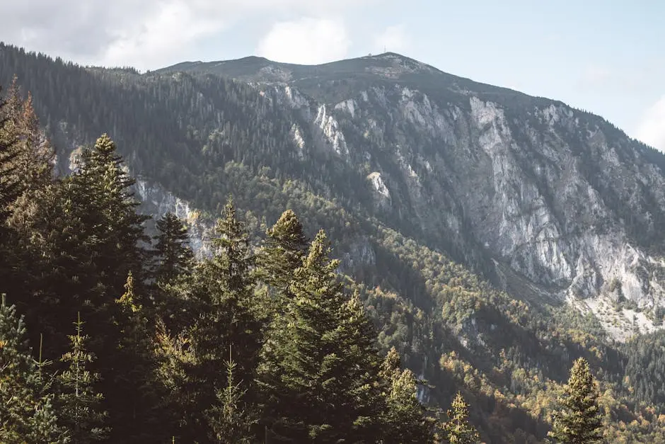 A mountain landscape with dense green pine trees in the foreground and a rugged mountain range in the background under a partly cloudy sky.
