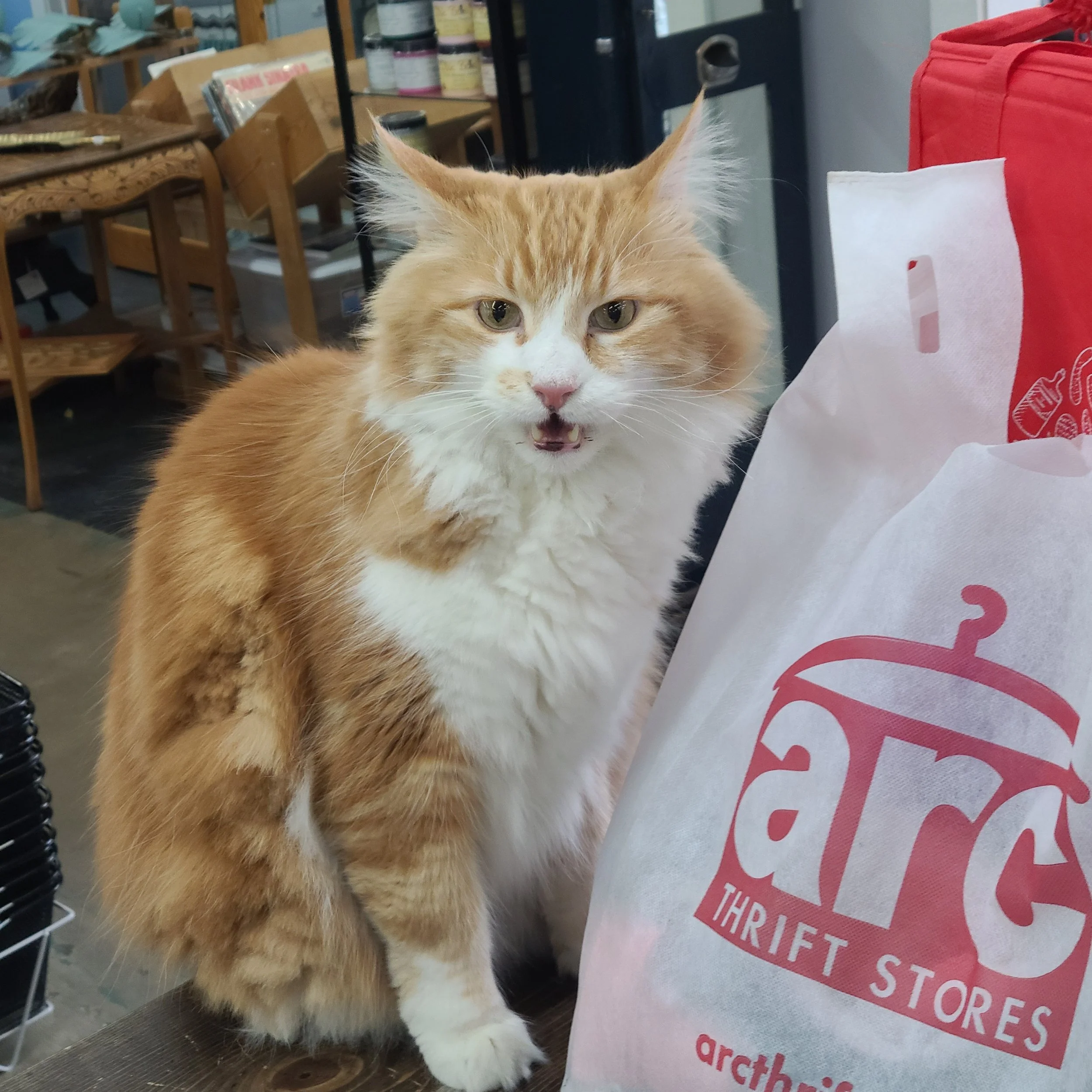 20250329_102119 (1).jpg