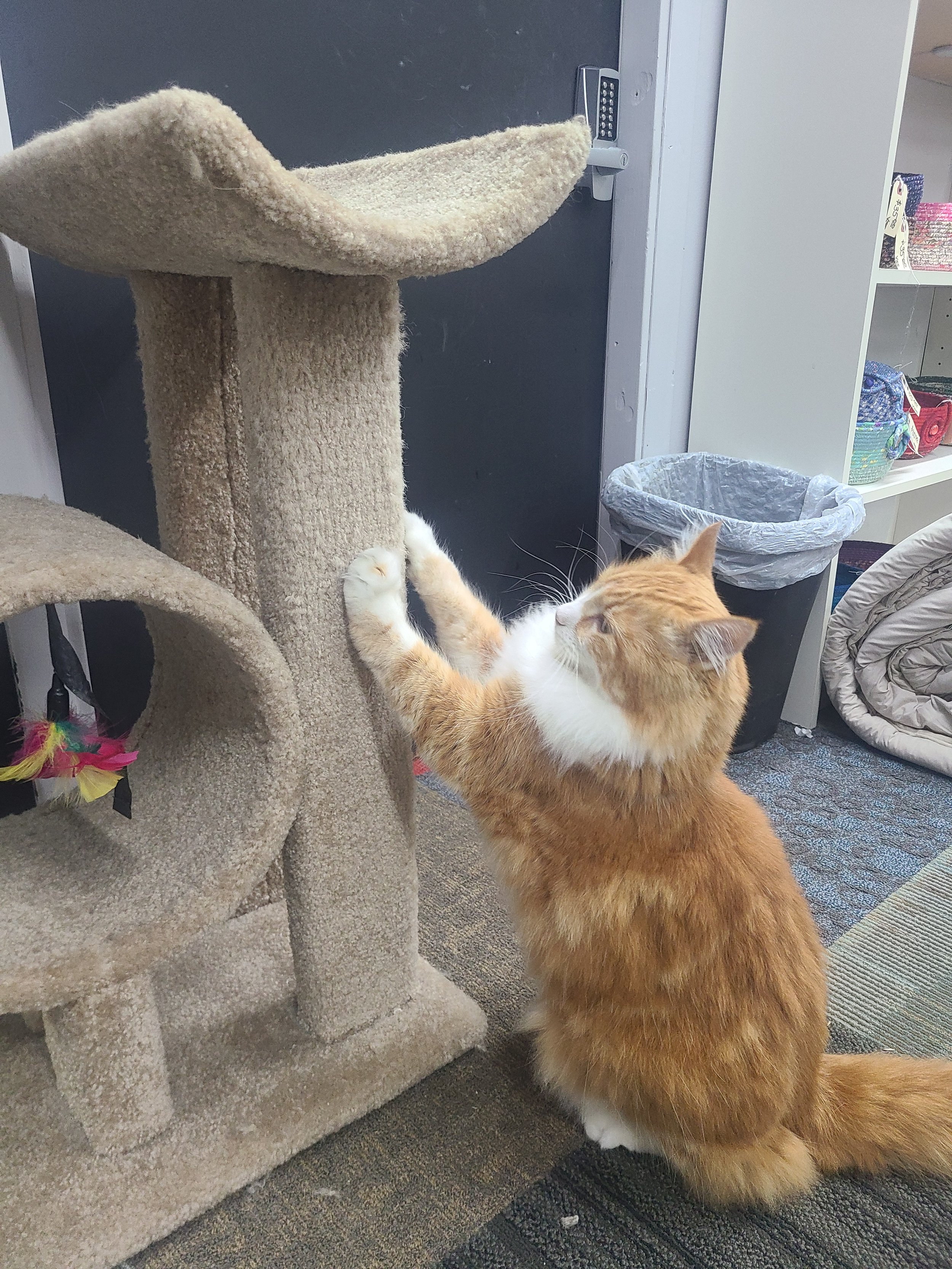 20250822_090302 (1).jpg