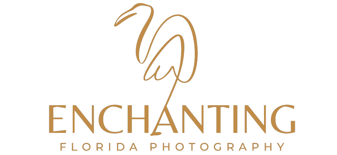 Enchanting Florida Photography