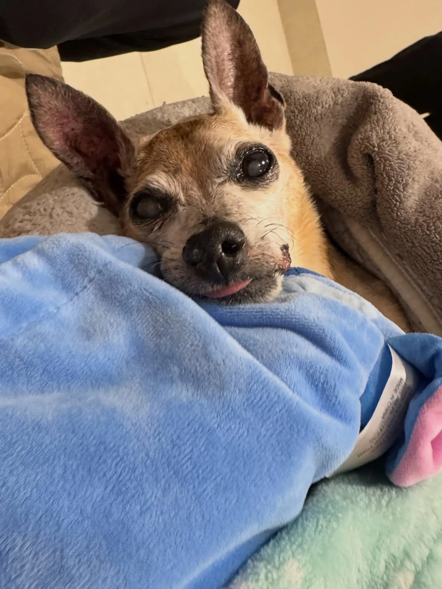 You are my whole world. I love you more than anything and I will never love anything as much as I love you. I never wanted to imagine living in a world where you&rsquo;re not here with me anymore. I&rsquo;m so sorry you were suddenly in pain for a da