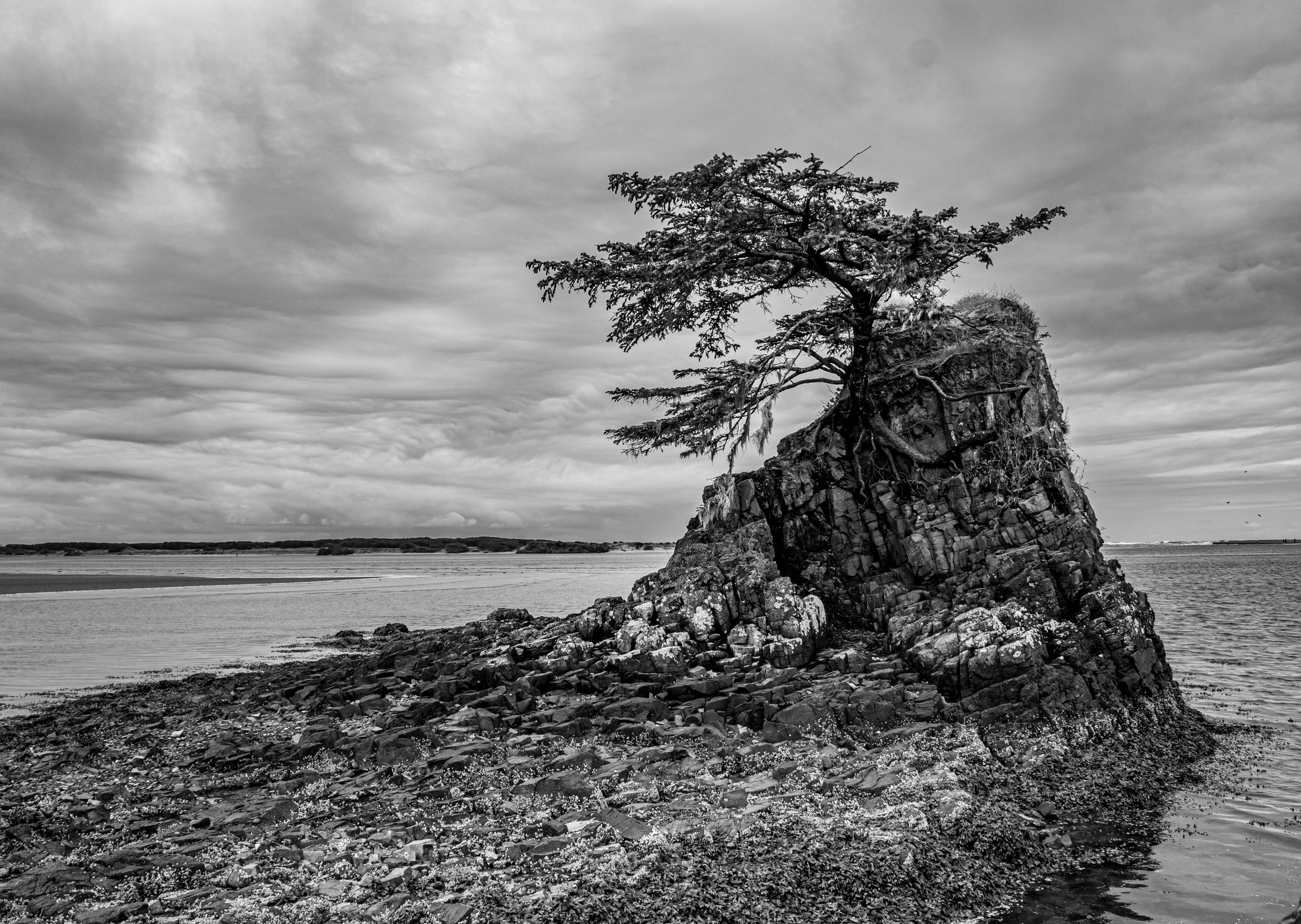 DSC_1515.jpg