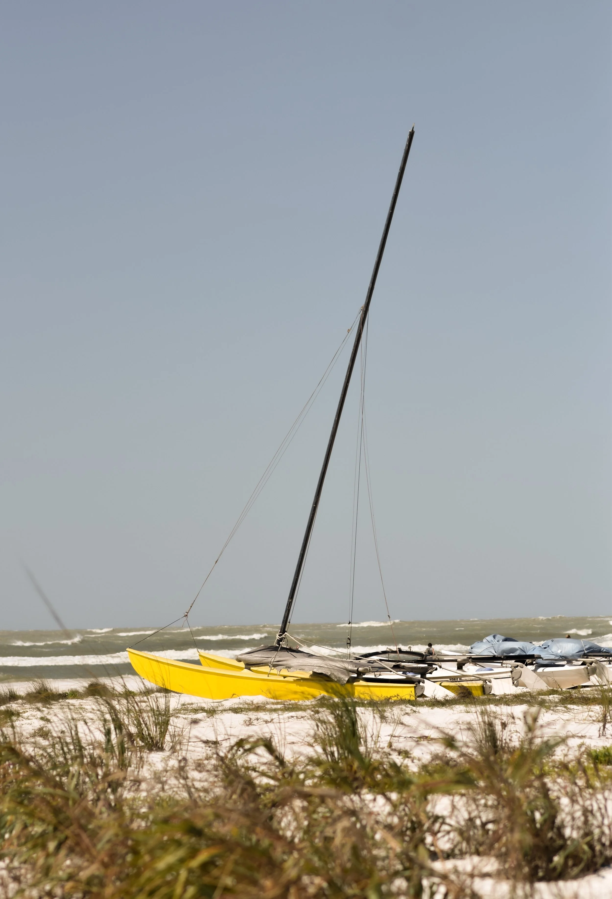 DSC_0832.jpg