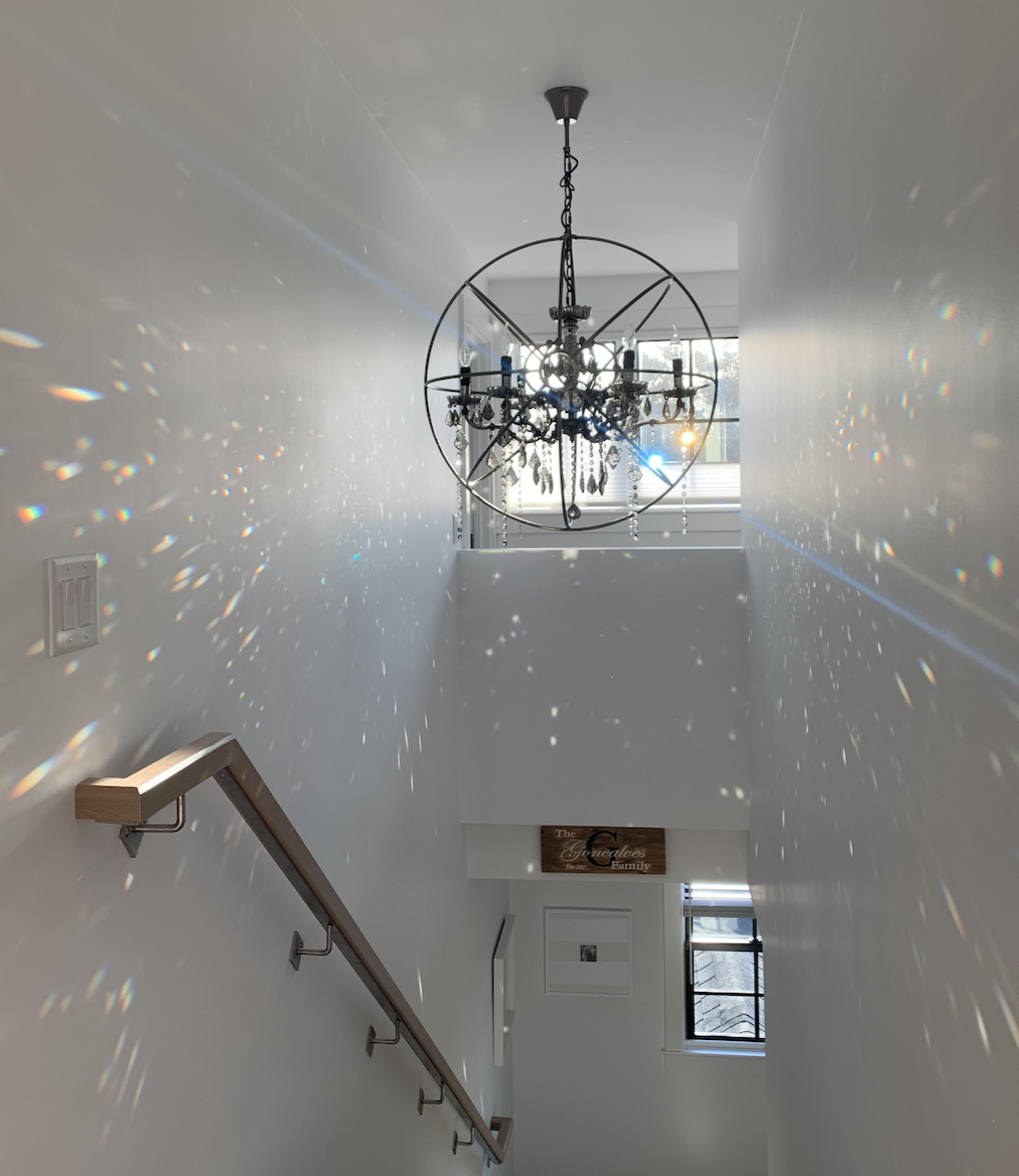 Screen Shot 2022-08-04 at 8.29.37 AM.png