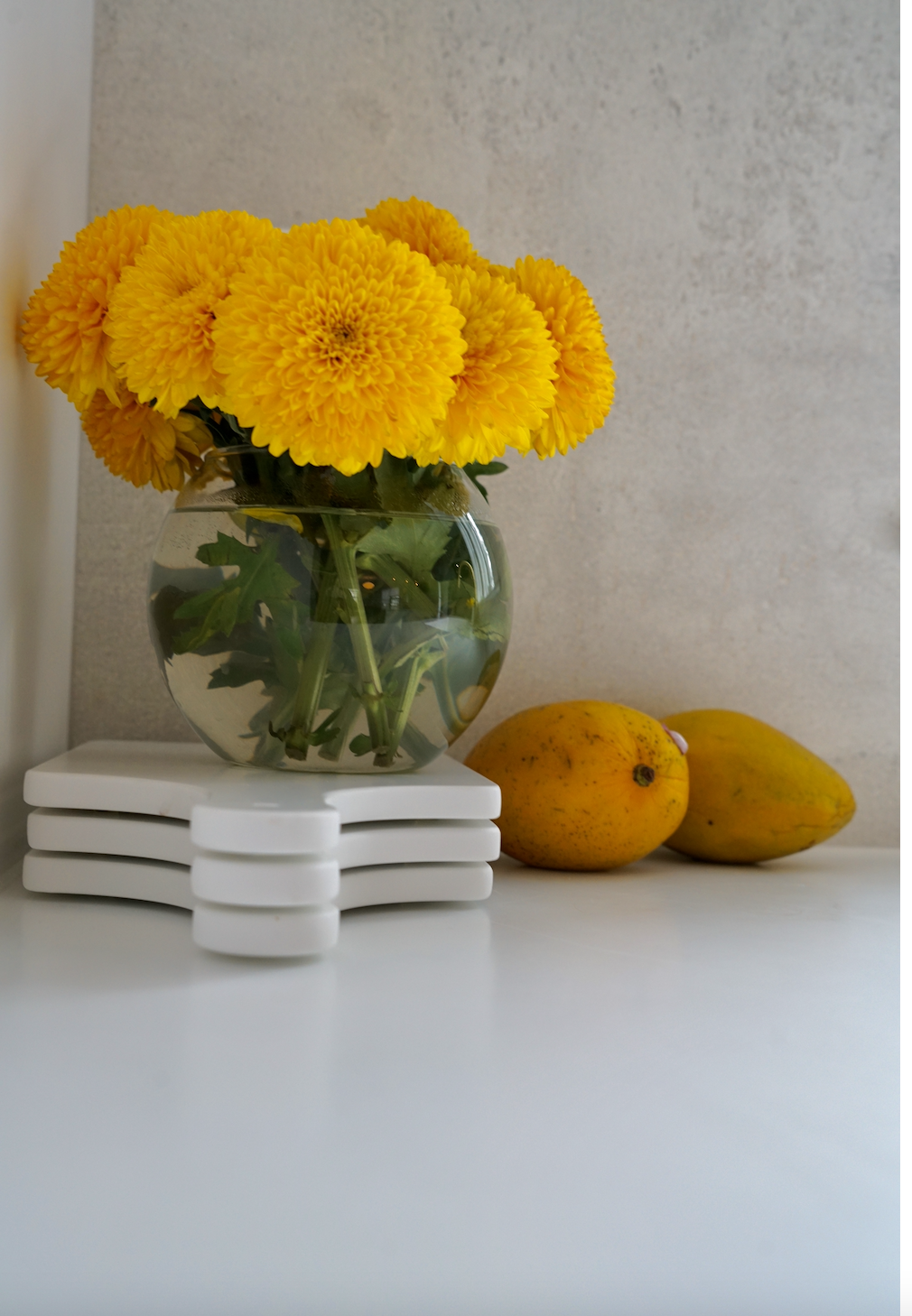 Screen Shot 2022-08-04 at 8.29.14 AM.png