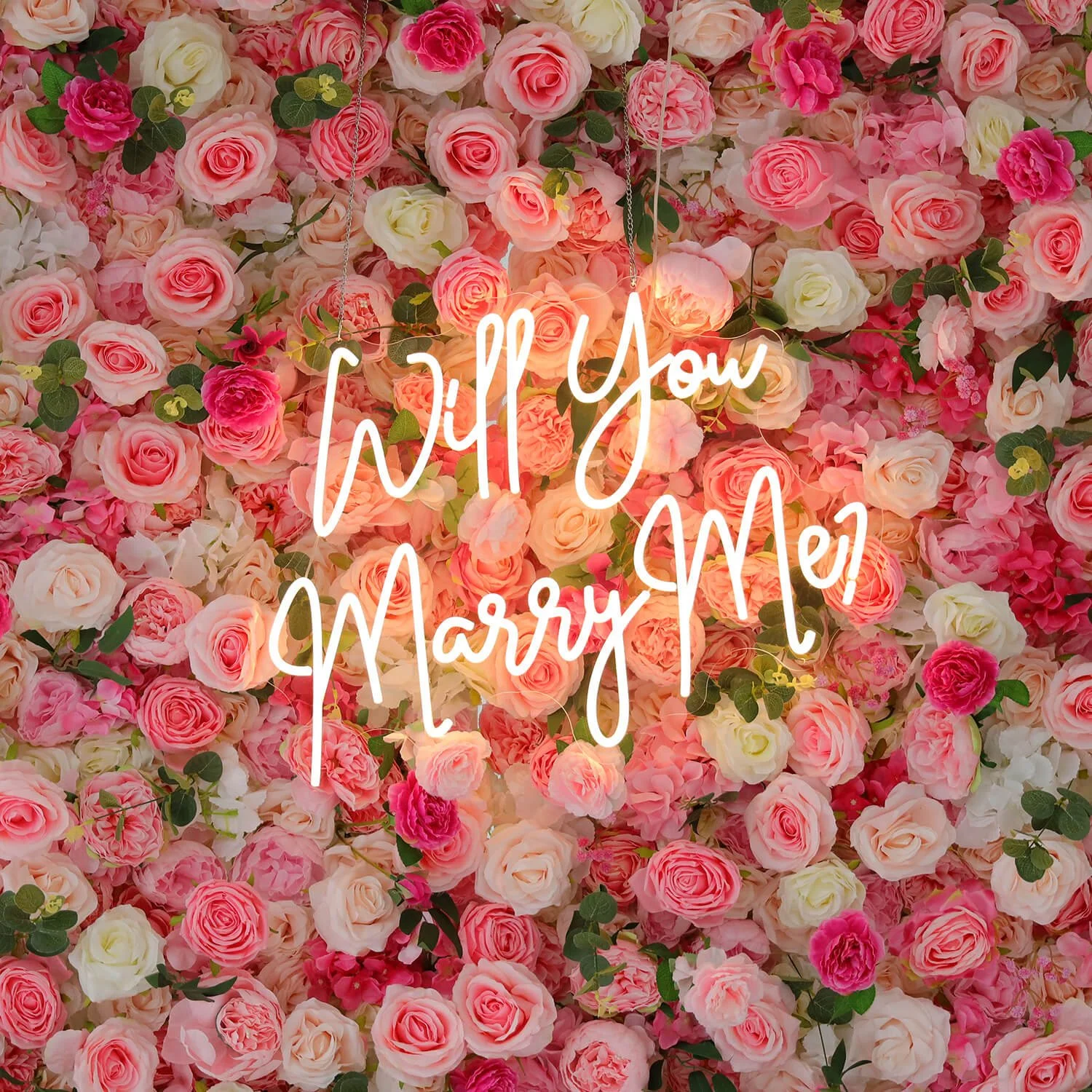 Will You Marry Me - $40