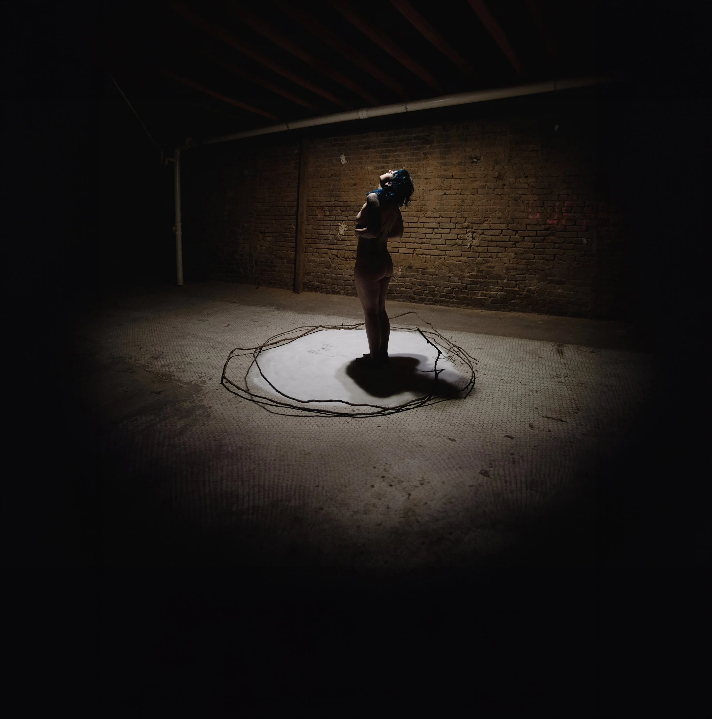 AIlookingup_Acrowsbenediction copy.jpeg