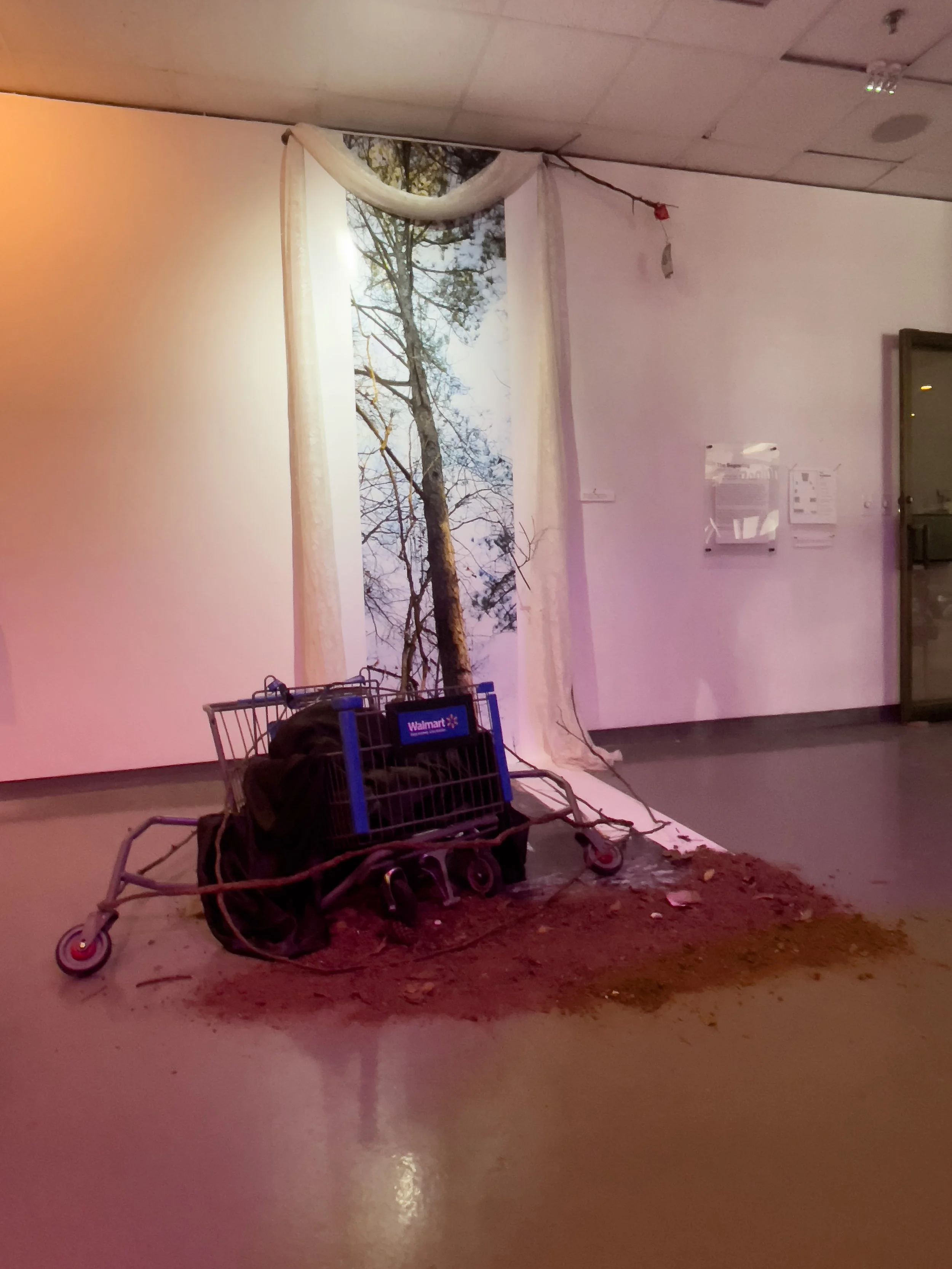 walmart cart copy.jpg