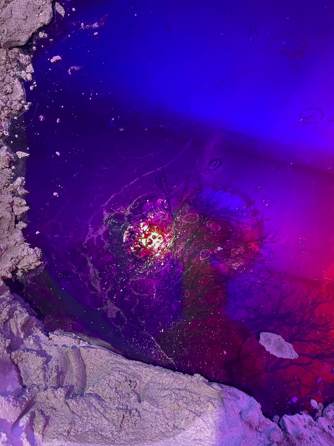 Od to sky (2026 edit)-3.png