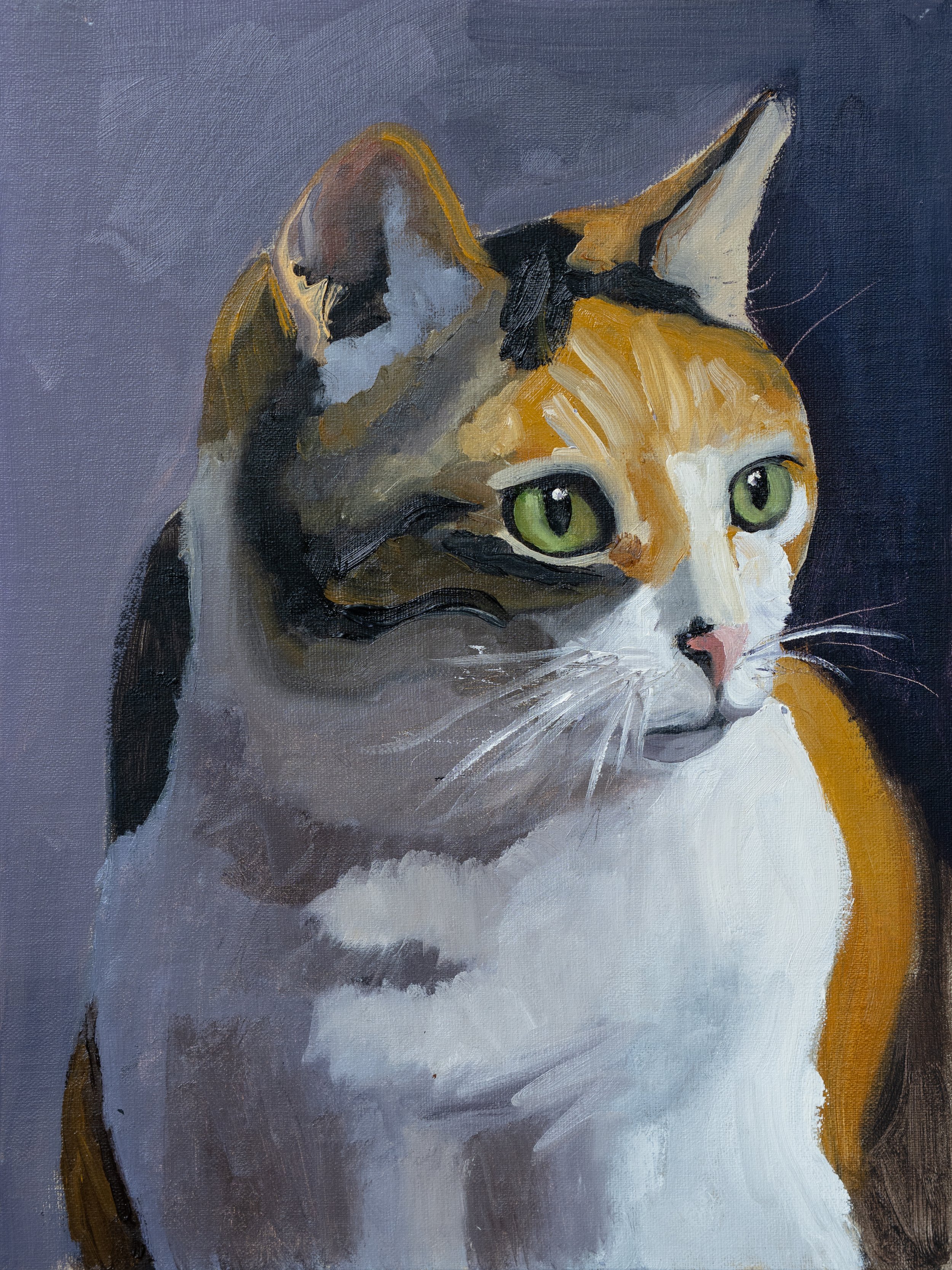 Calico Cat - Original Painting