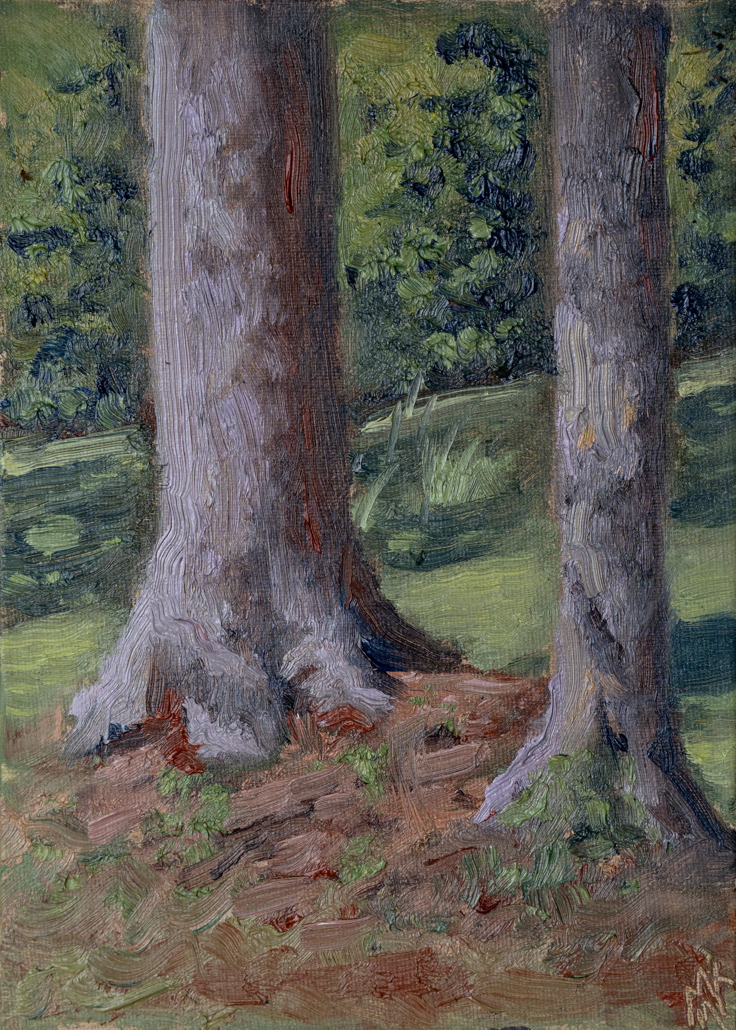 Tree Study