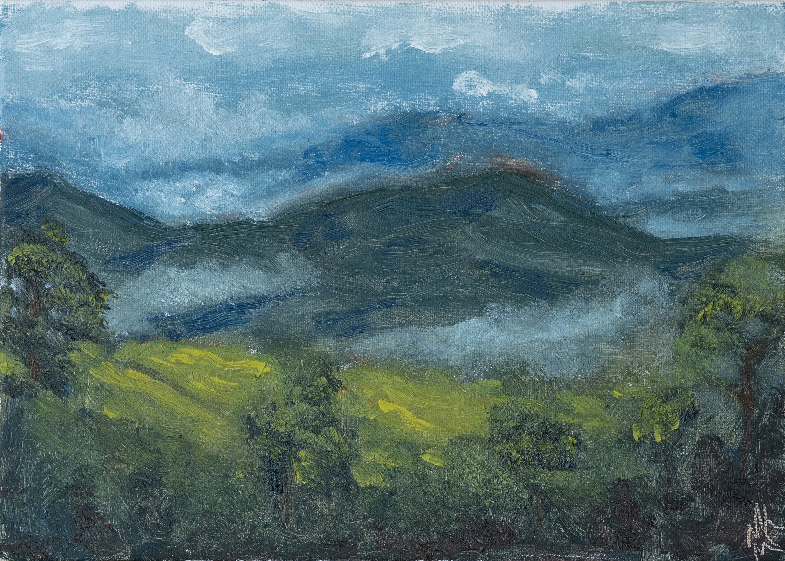 Pisgah National Forest - Original Painting
