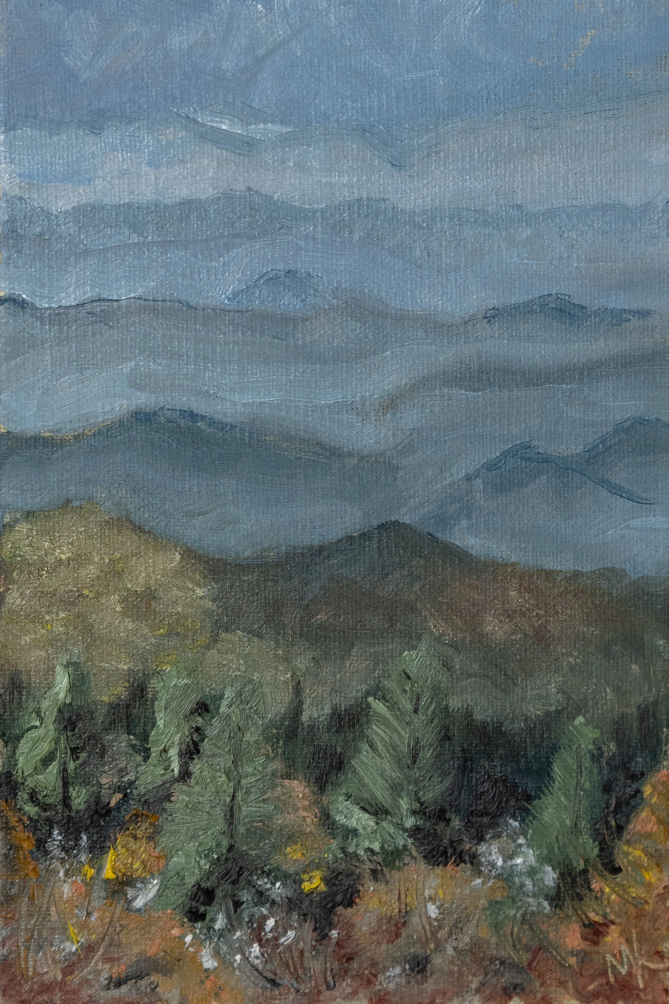 Pisgah National Forest - Original Painting SOLD