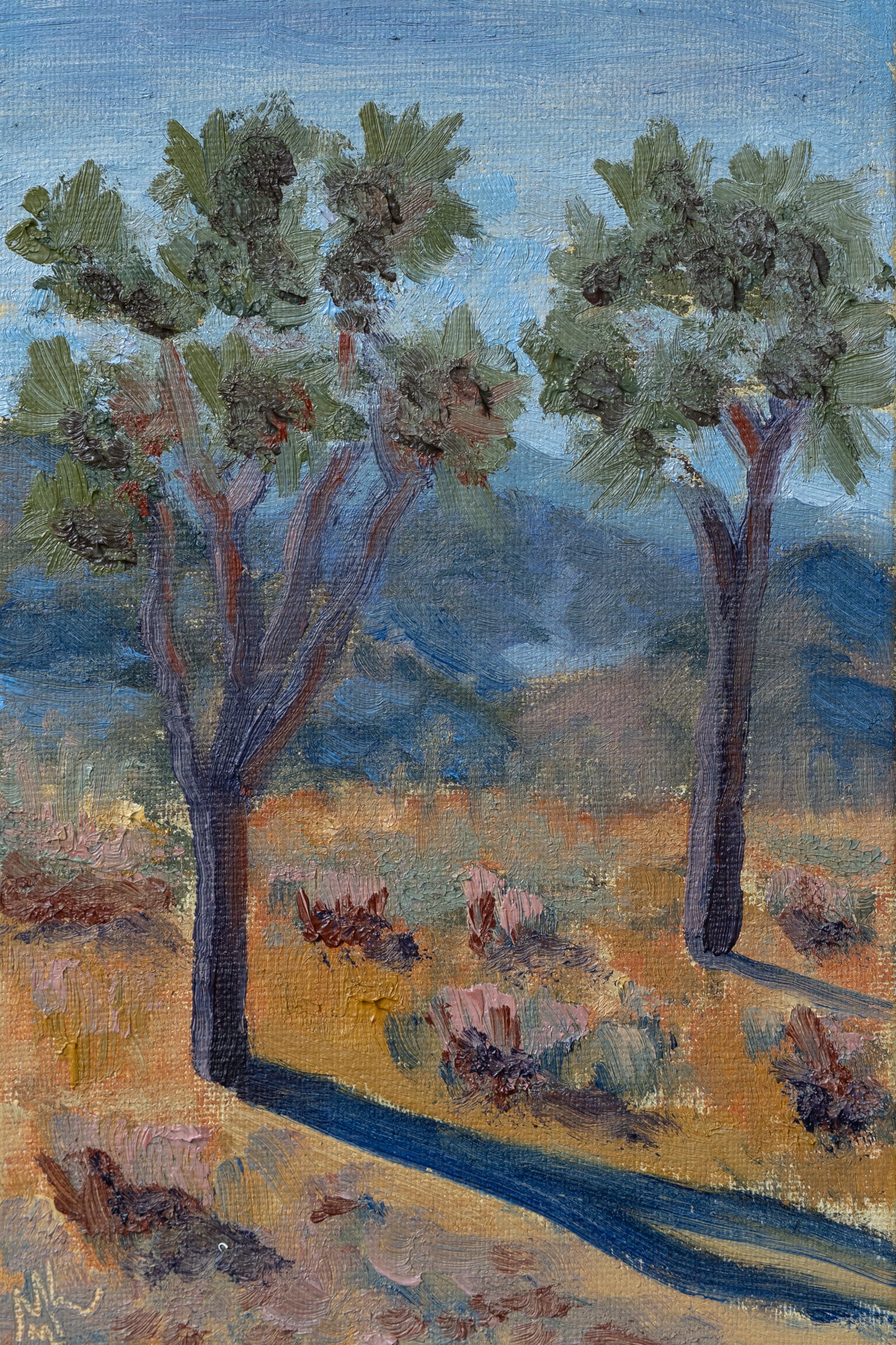 Joshua Tree National Park