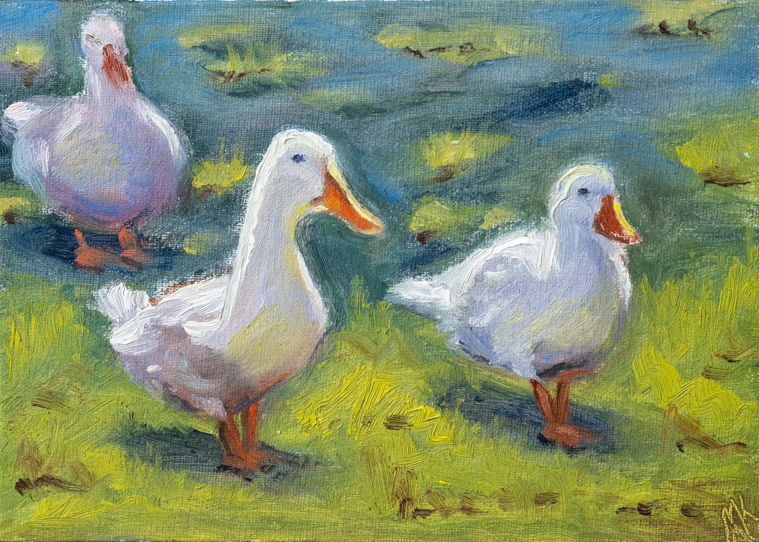 Ducks - Original Painting