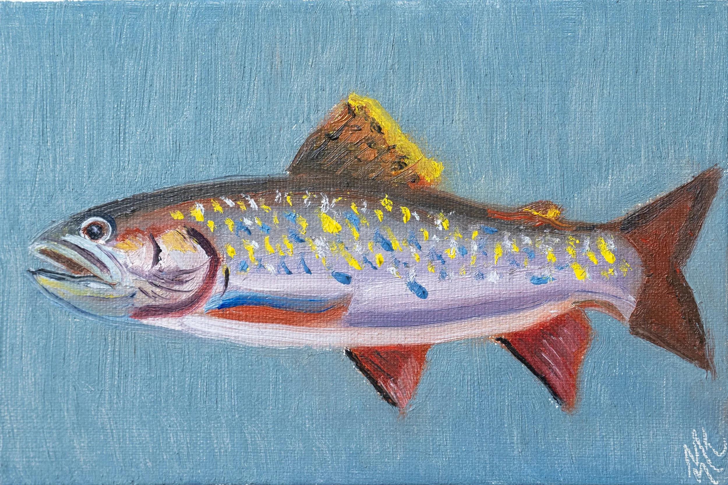 Brook Trout - Original Painting SOLD
