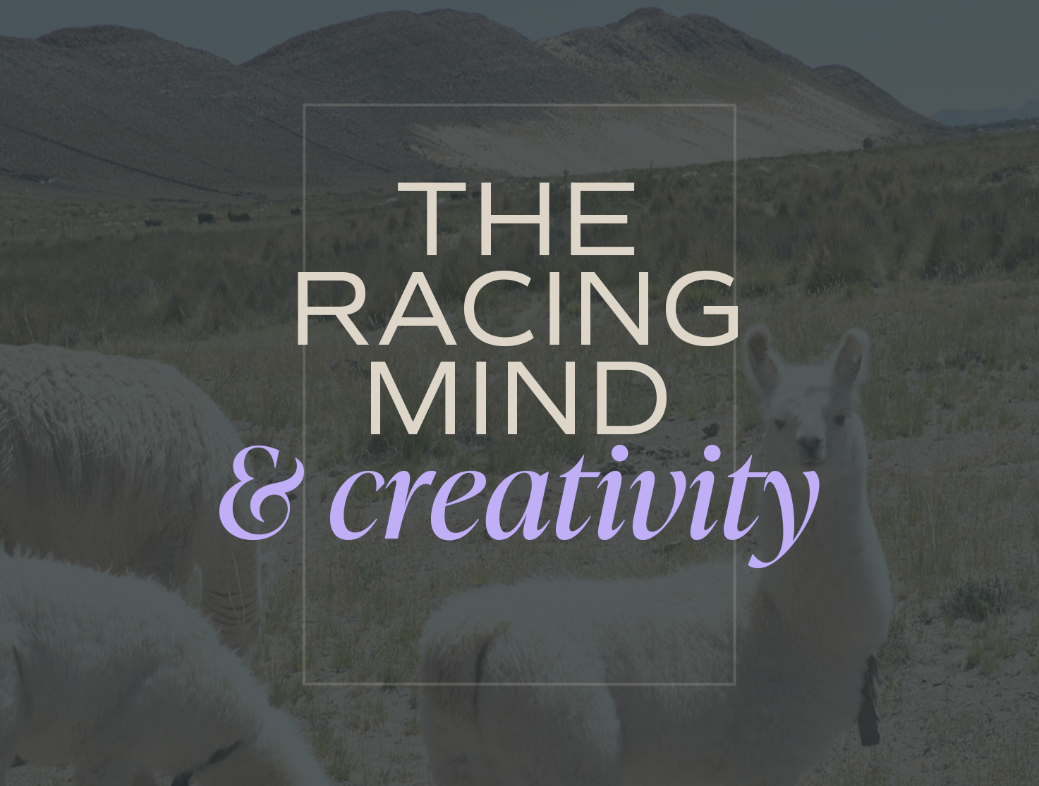 The Racing Mind &amp; Creativity