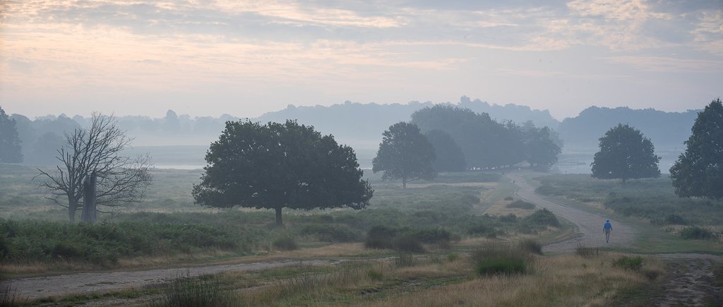 Blue Panorama, Pen Ponds.JPG