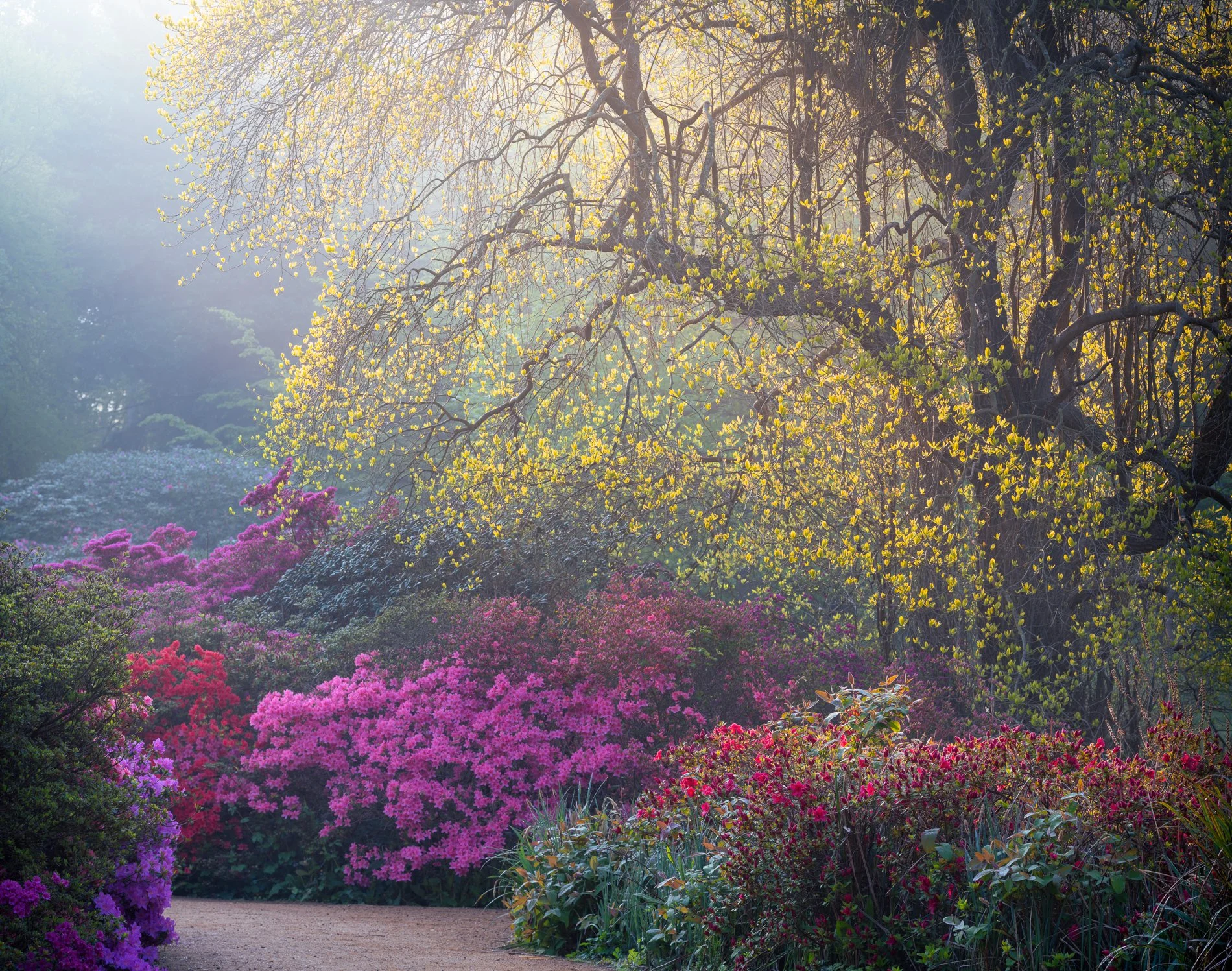 The Isabella Plantation