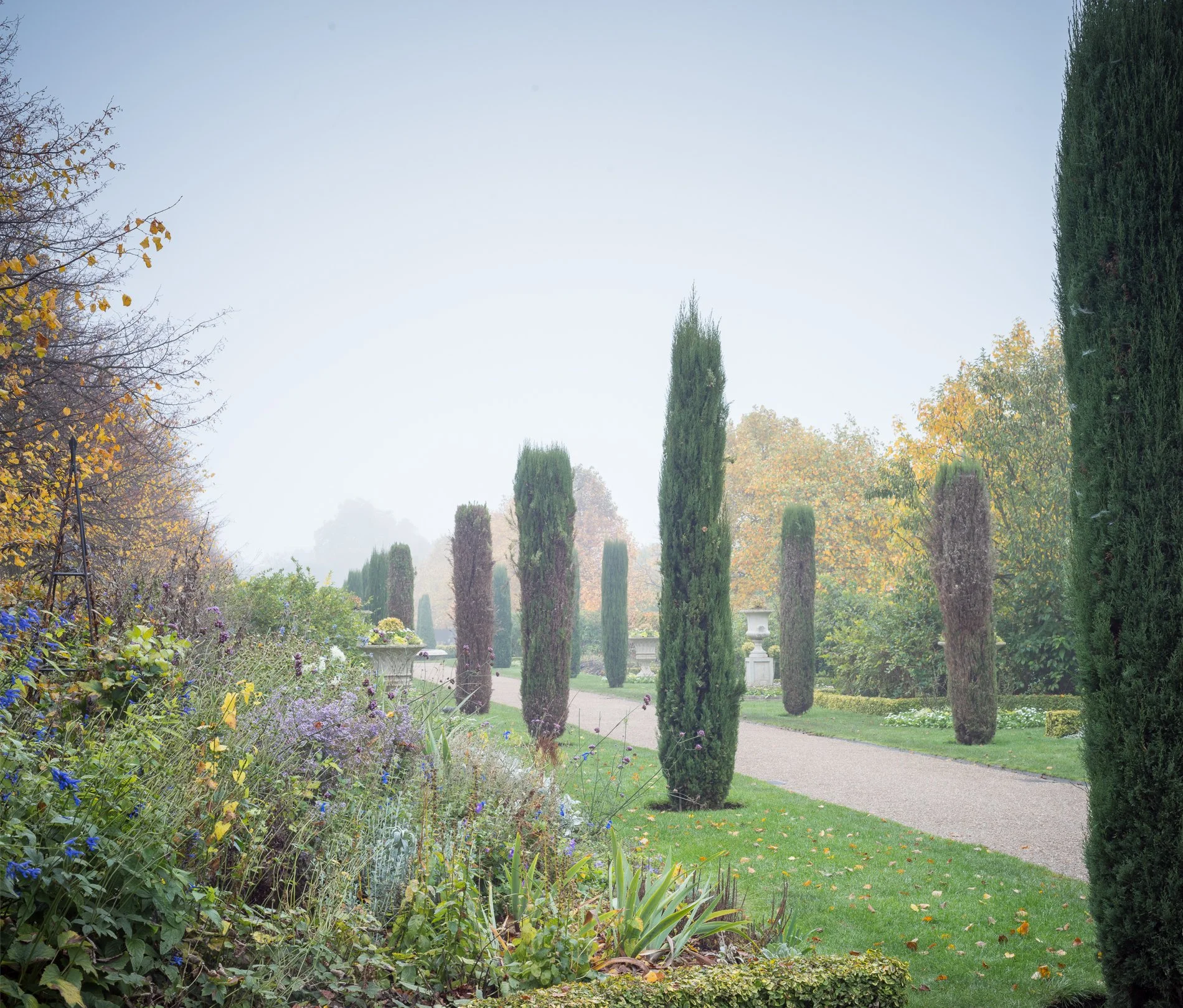Cypress Columns. The Regent's Park