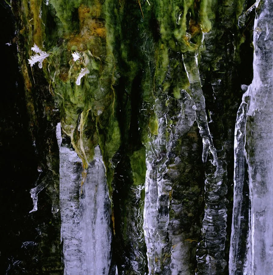 Moss-Algae-and-Ice-on-Rockface-Craig-Goch.jpg