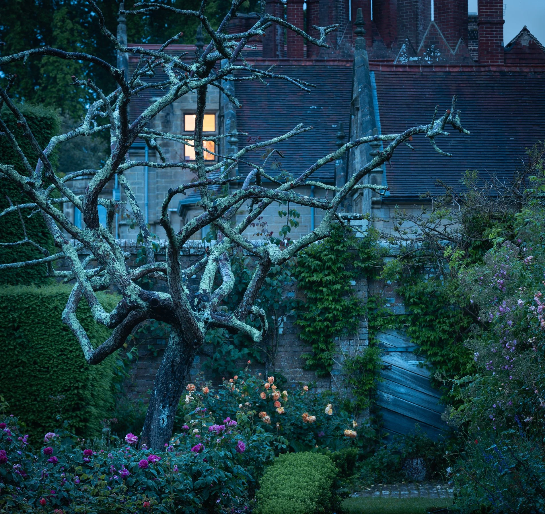 Nightfall in the Rose Garden. Borde Hill Garden, West Sussex: The inspiration for "A Rose Garden." June 2025. Richmond Park Field Camera.