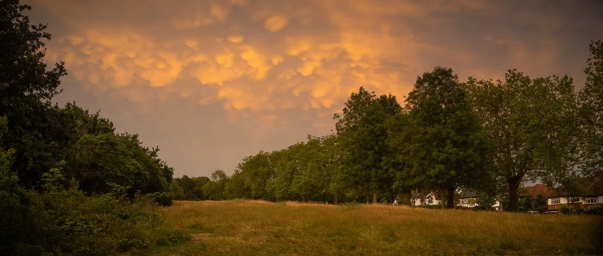 Mammatus, Summer Evening.JPG
