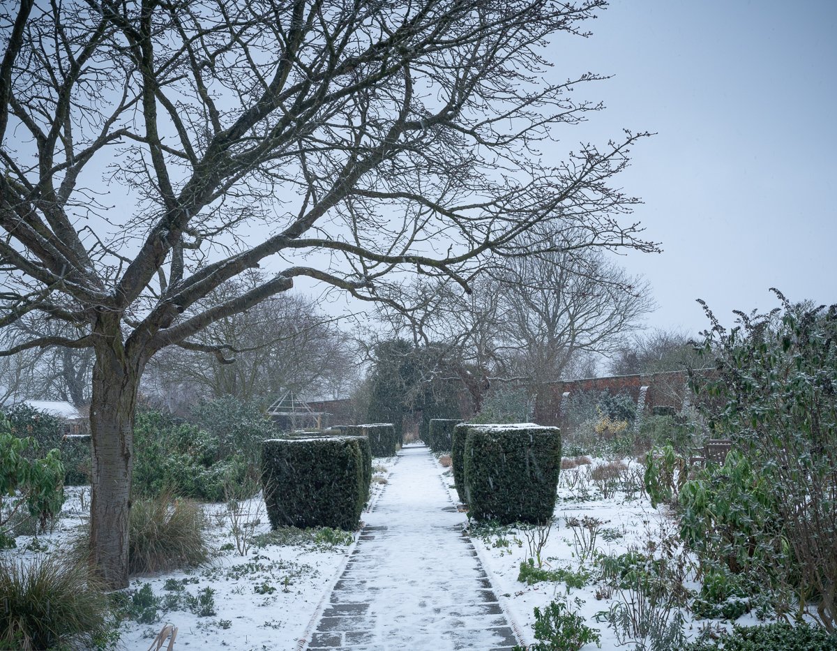 Path to the Arch in Snowstorm. 2021