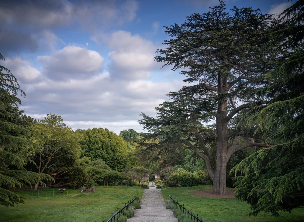 Streatham Common