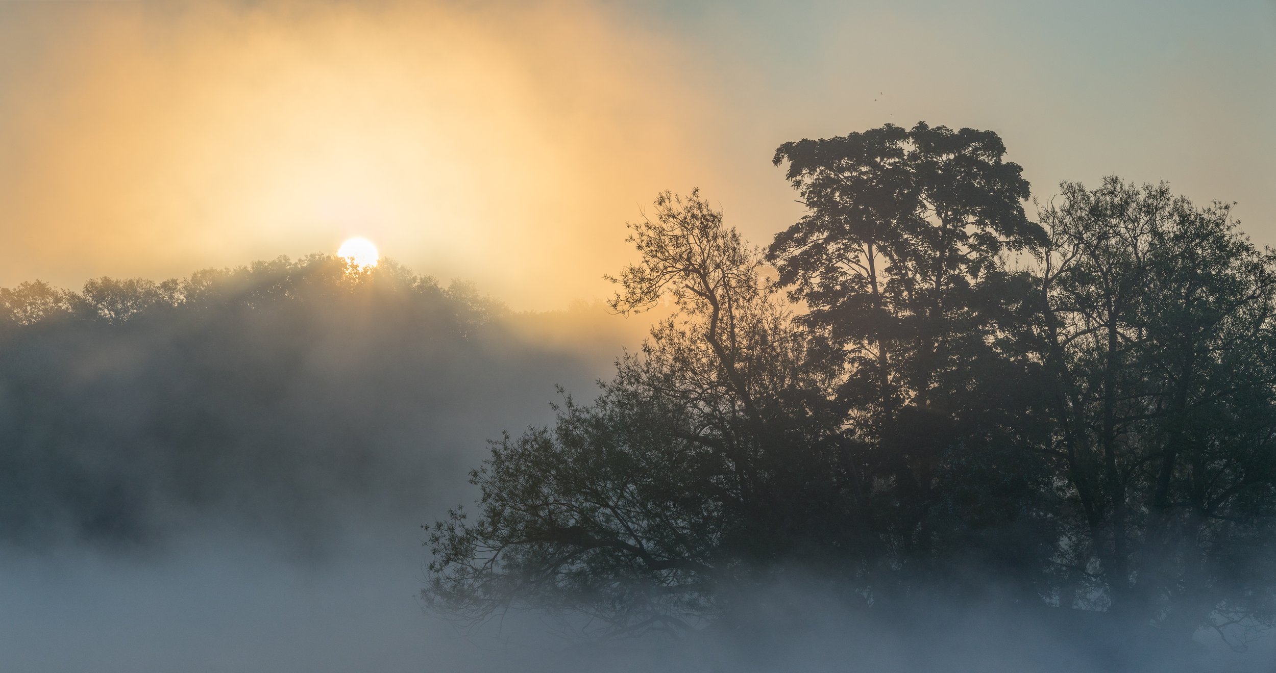 Spectacle of the May Mists