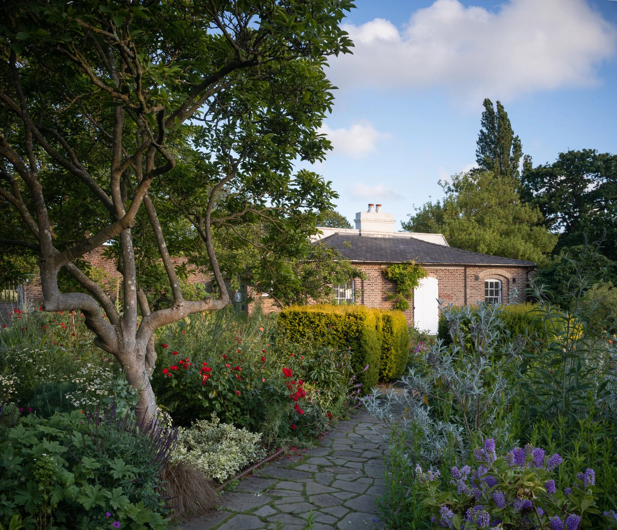 The Temple, July. Rush Oak Field Camera. 2021