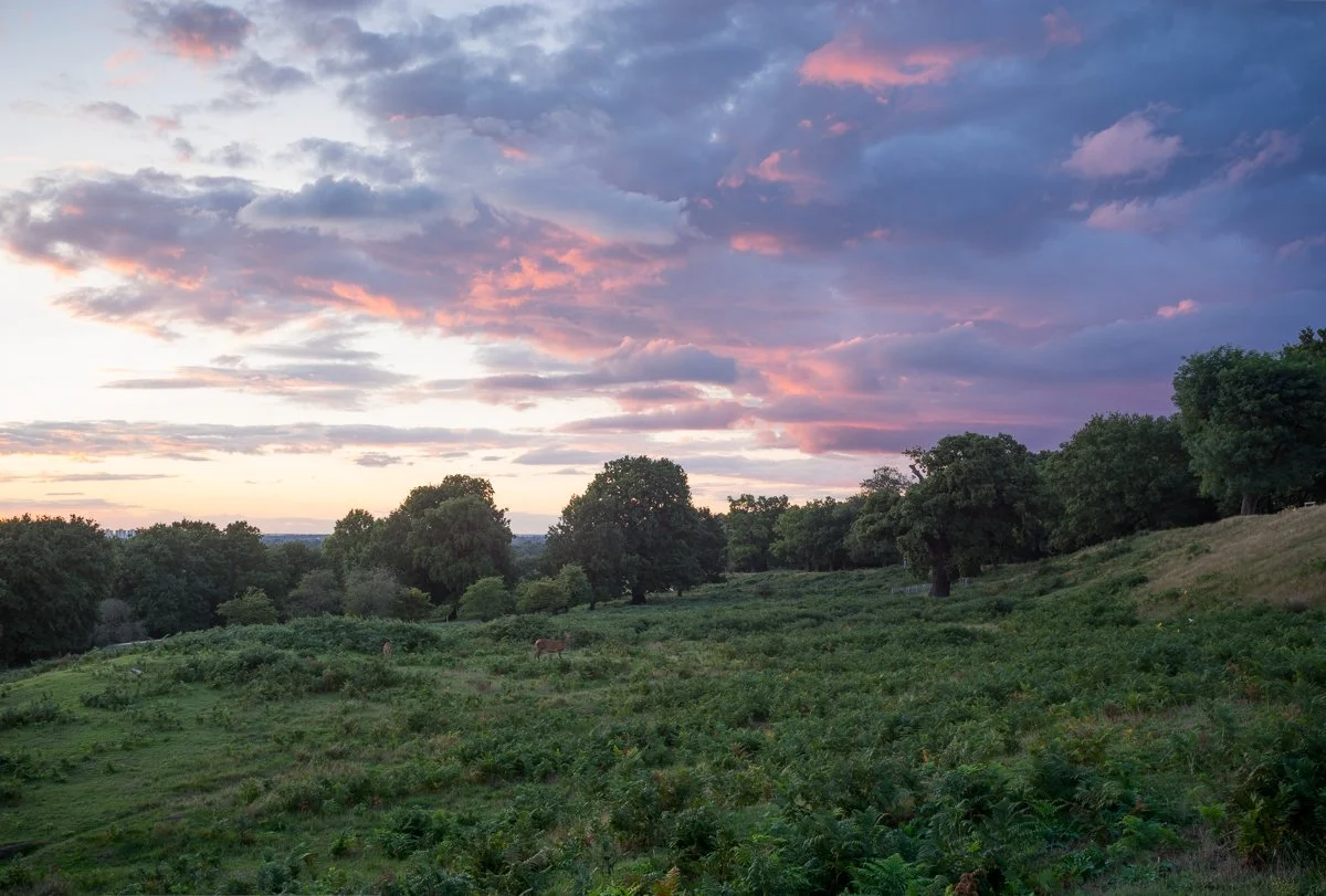 Thatched House Lodge Twilight.JPG