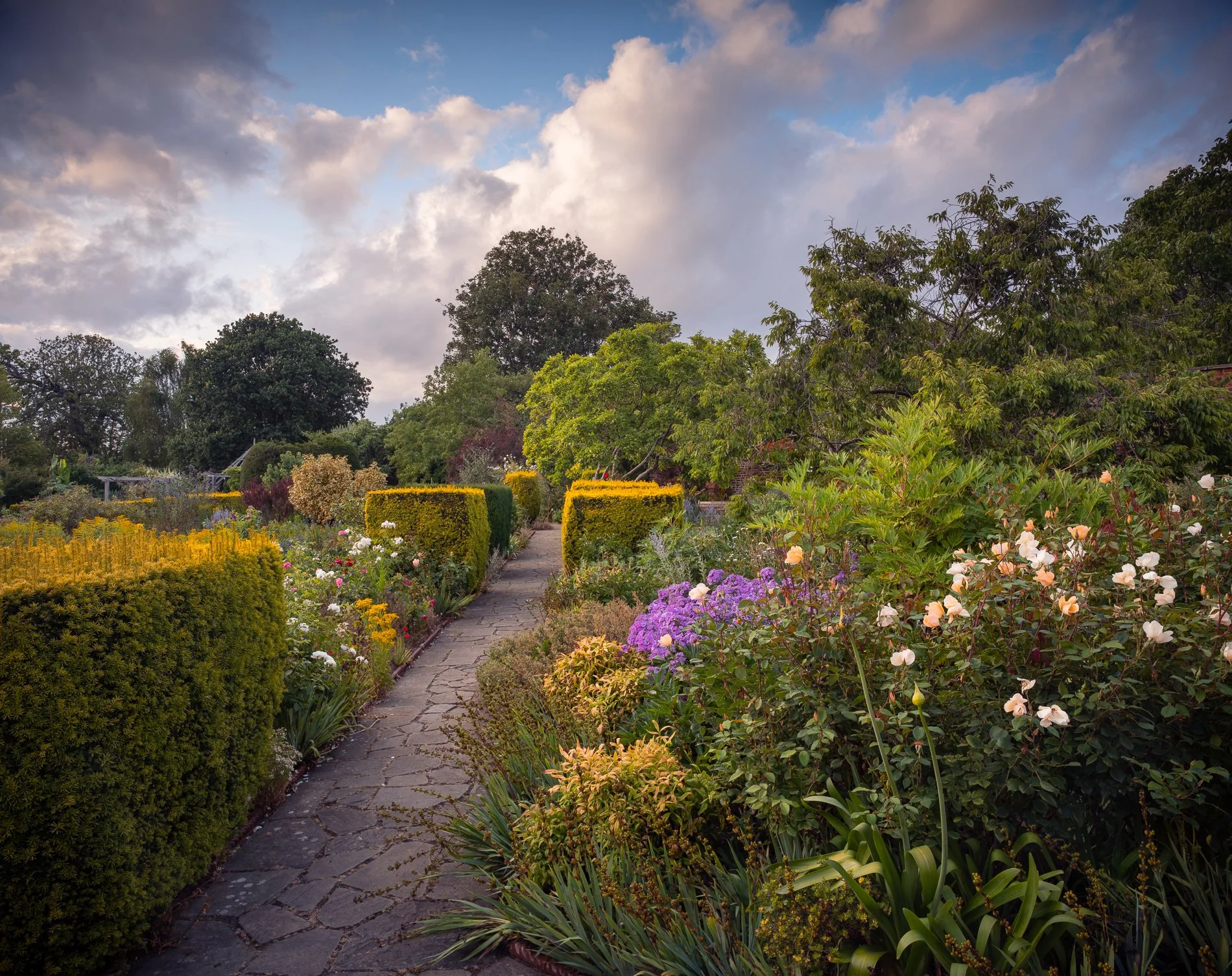 Early July Evening, 2025, Richmond Park Field Camera