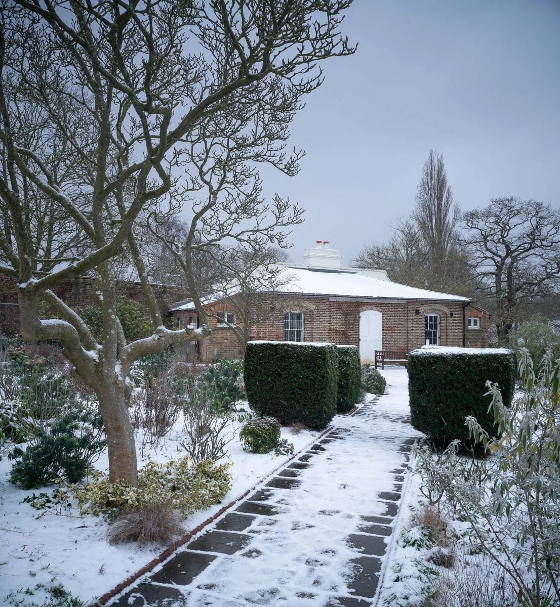 The Temple, Winter. February 2021