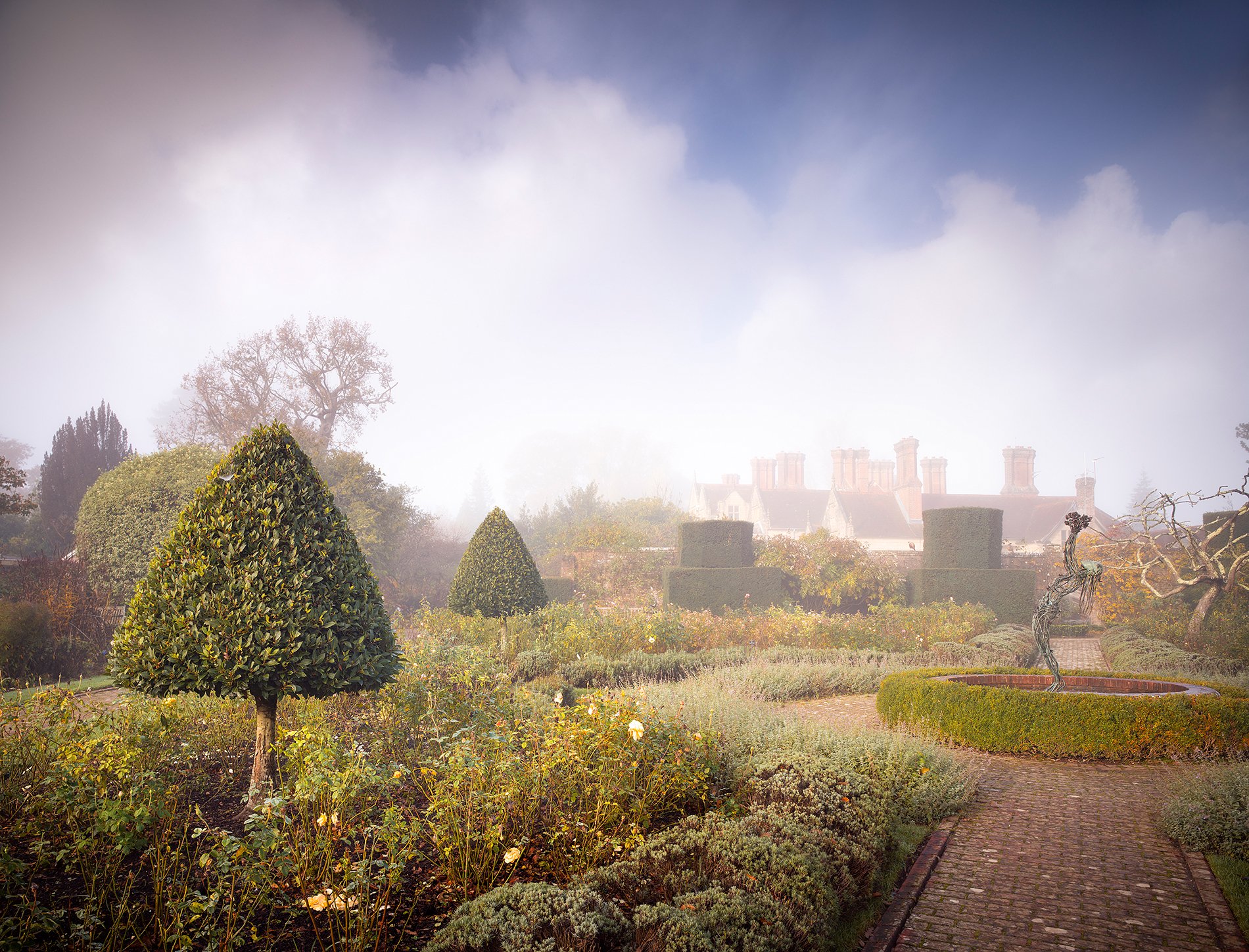 The Garden in the Clouds. November 2025, Richmond Park Field Camera