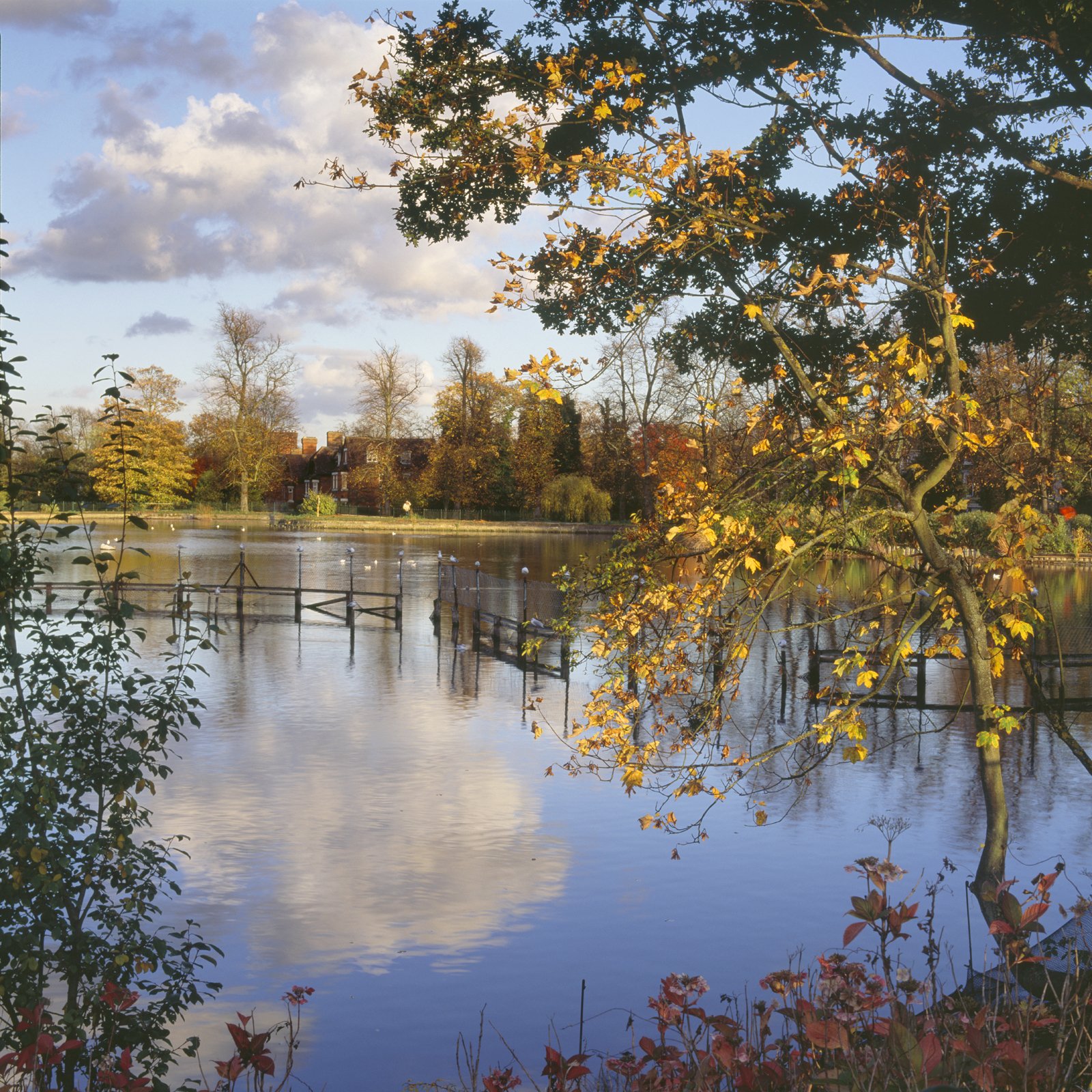 Autumn at the Lower Lake. 2009