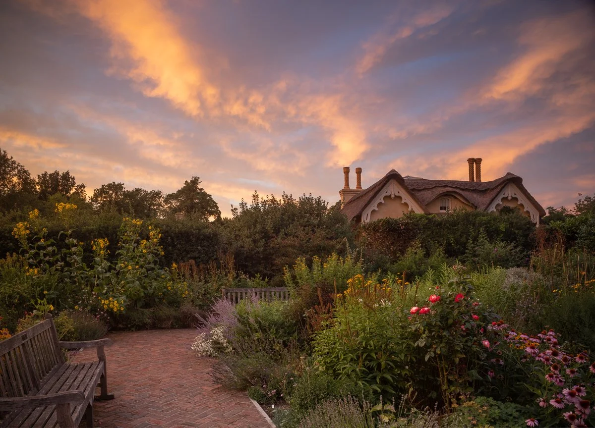 Summer Sunset Spectacle.JPG