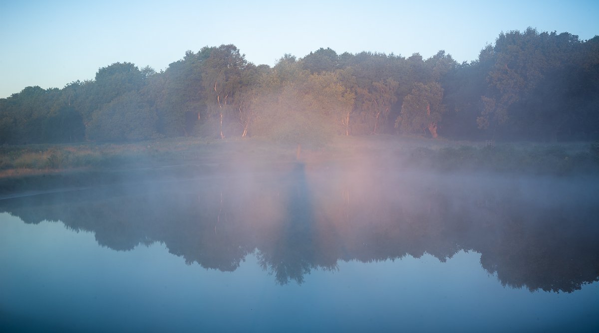 Summer Spectre, Lake Glory. 2018