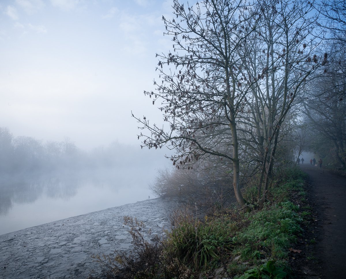 Tow Path, Late Autumn.JPG