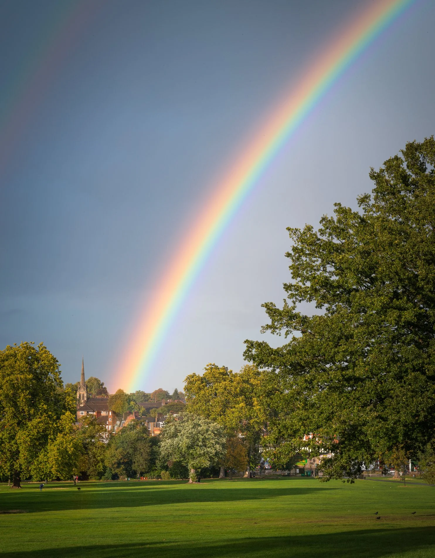Rainbow Town IV, September 2025, Richmond Park Field Camera