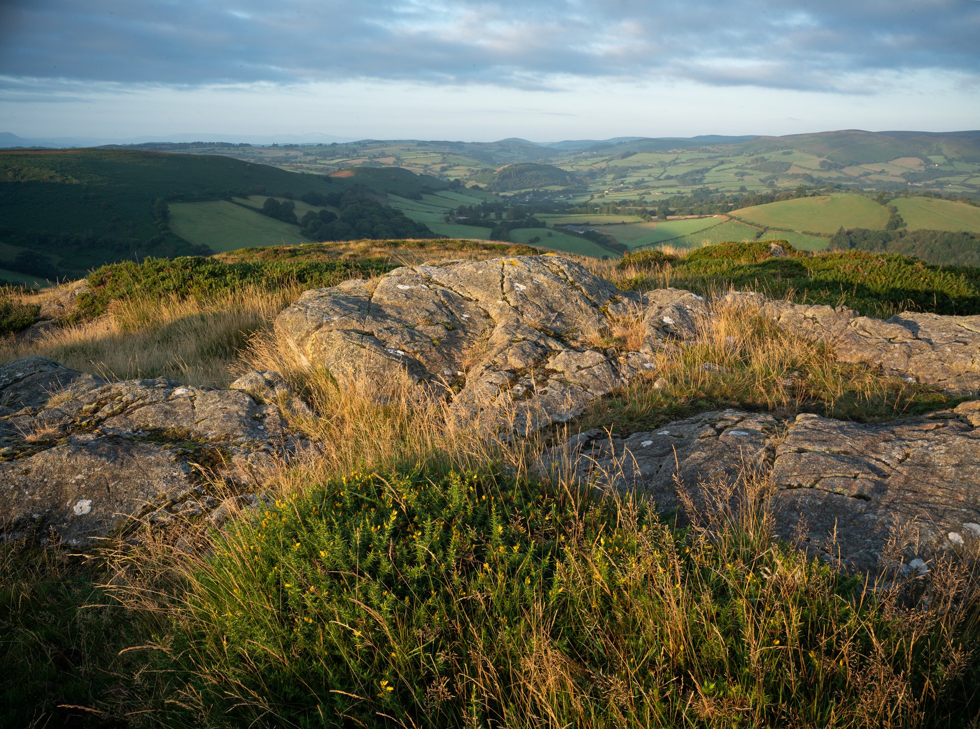 _DSC9258-Pano.jpg