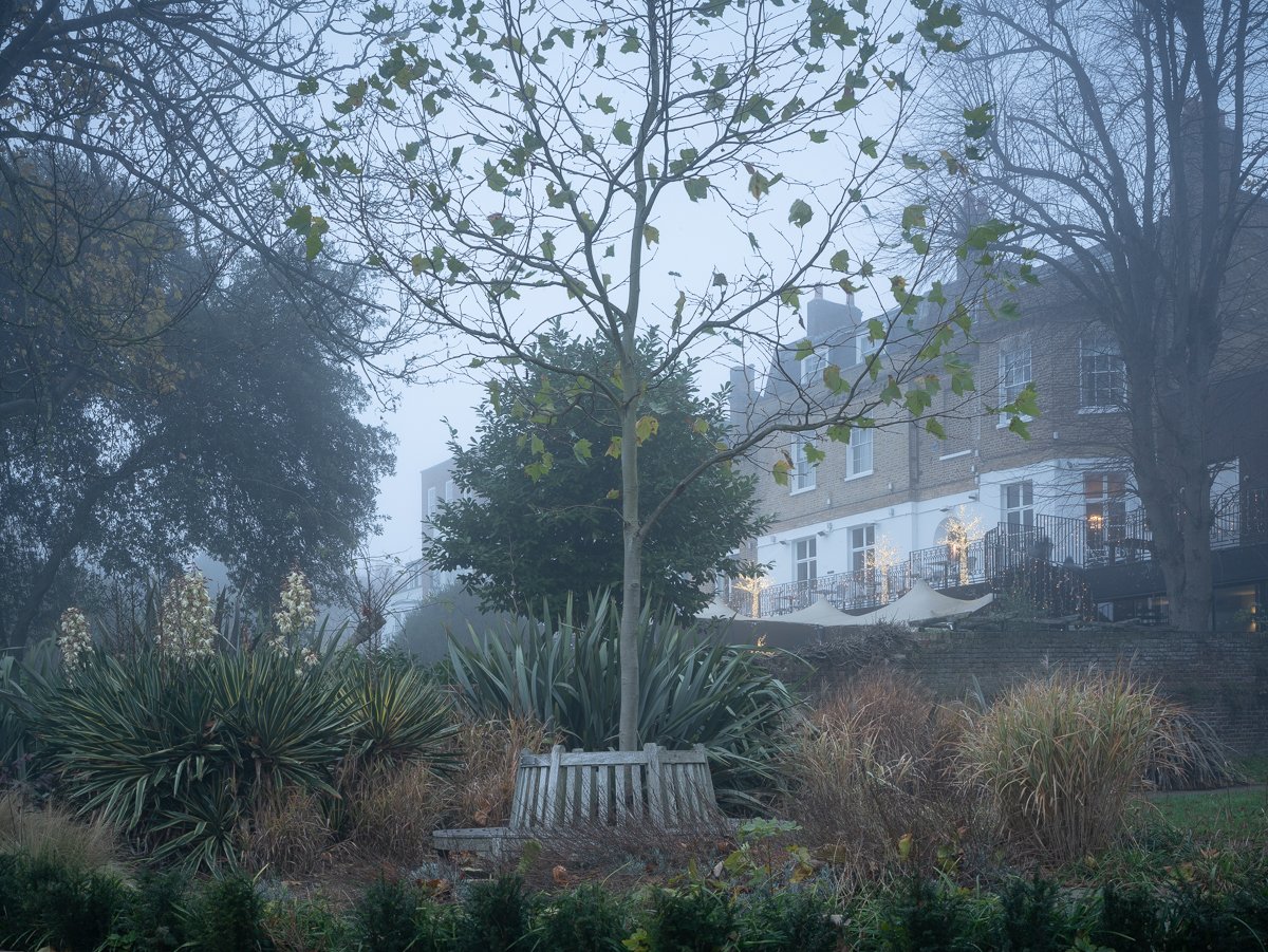 Buccleuch Gardens, December Morning.JPG