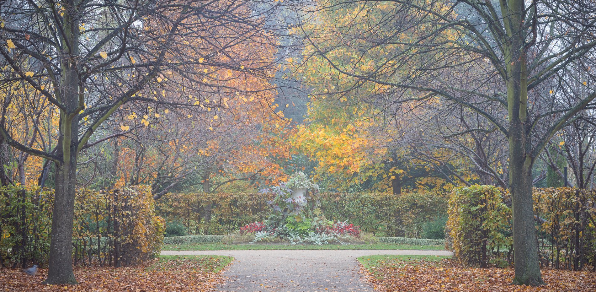 Autumn Urn, The English Gardens. The Regent's Park