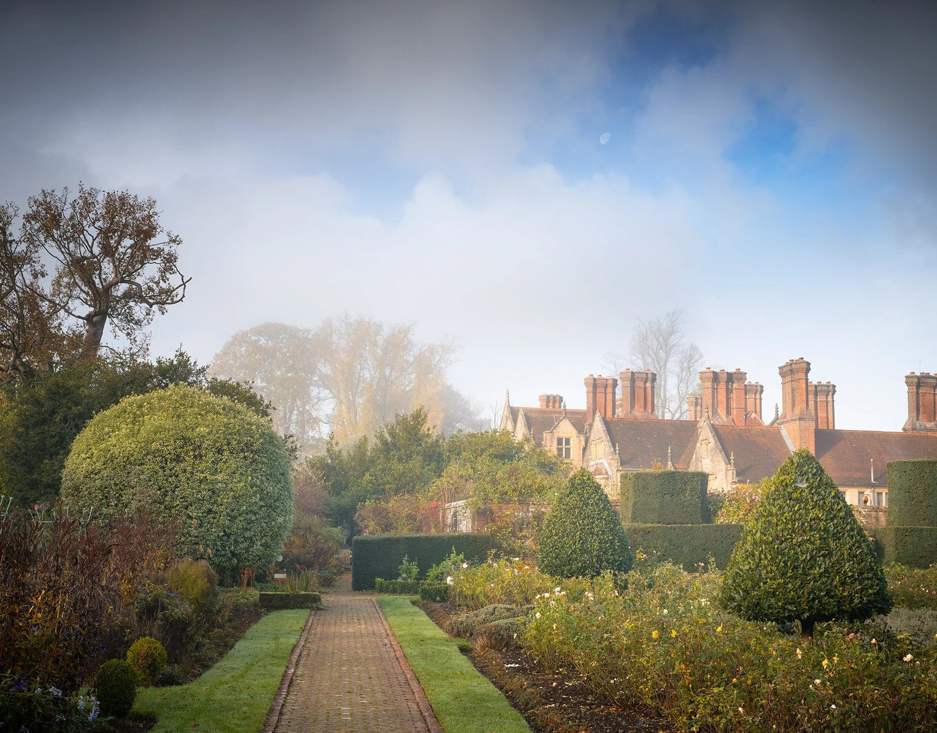 Moon and Morning Mist. November 2025, Richmond Park Field Camera