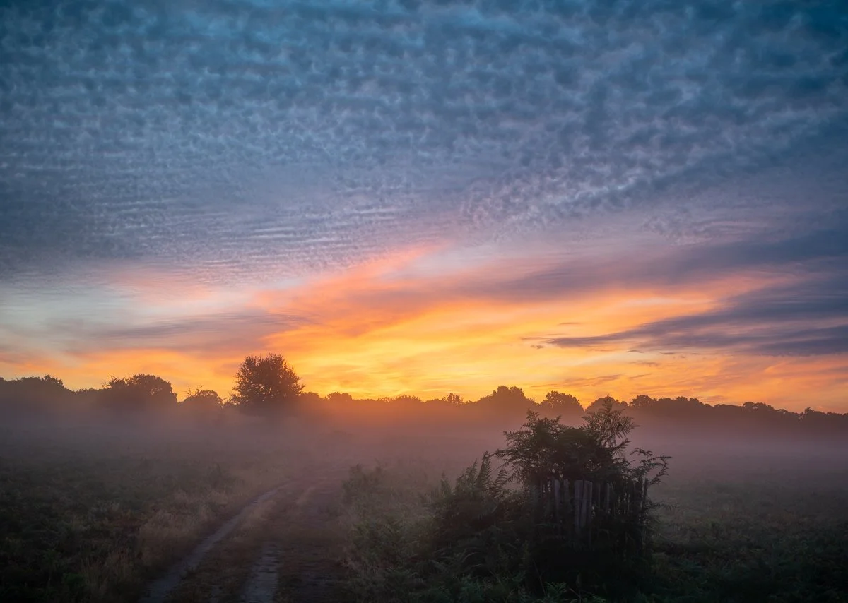 End of the Summer Night, Sawyer's Hill