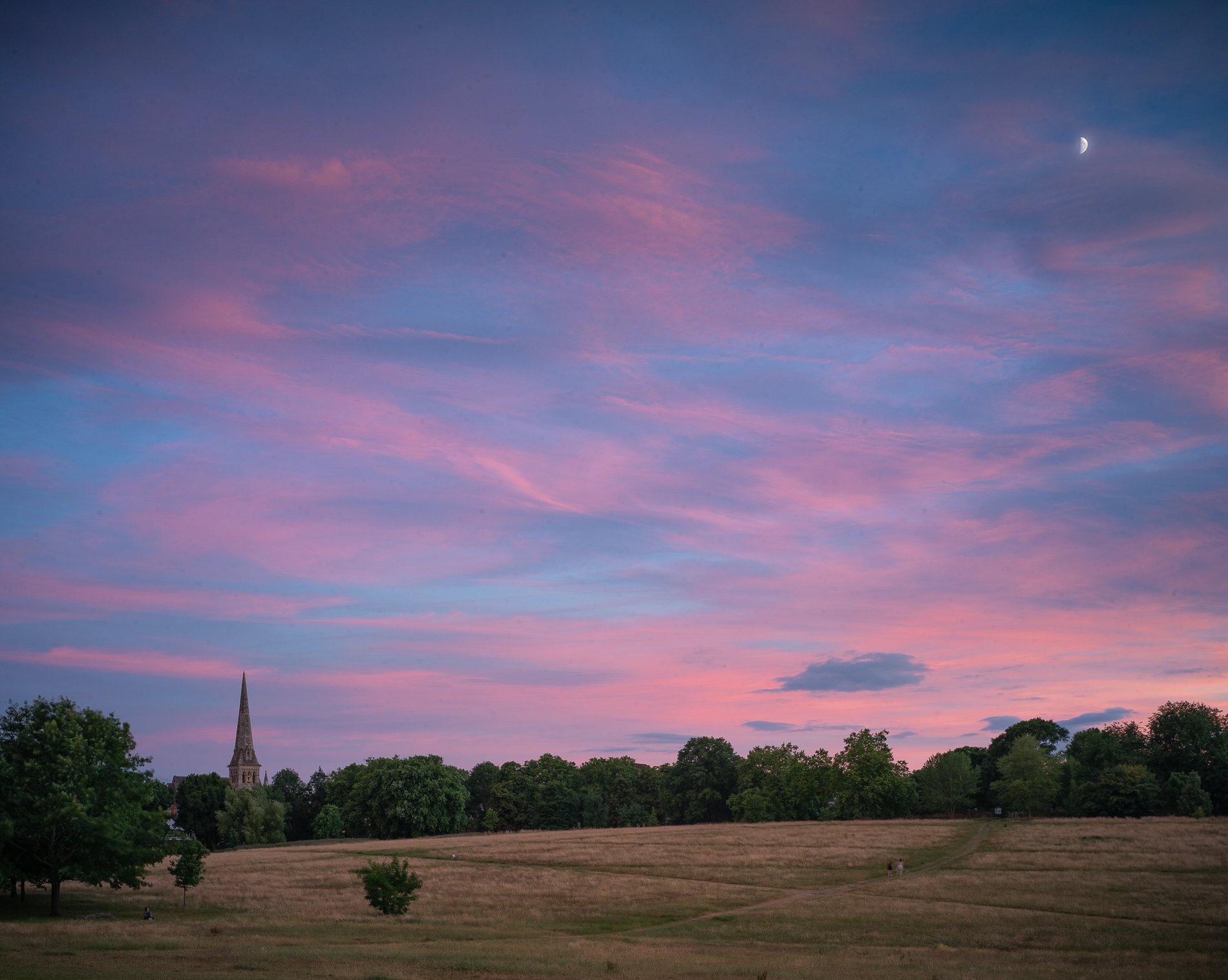 Painted Twilight, Early July. Rush Oak Field Camera. 2022
