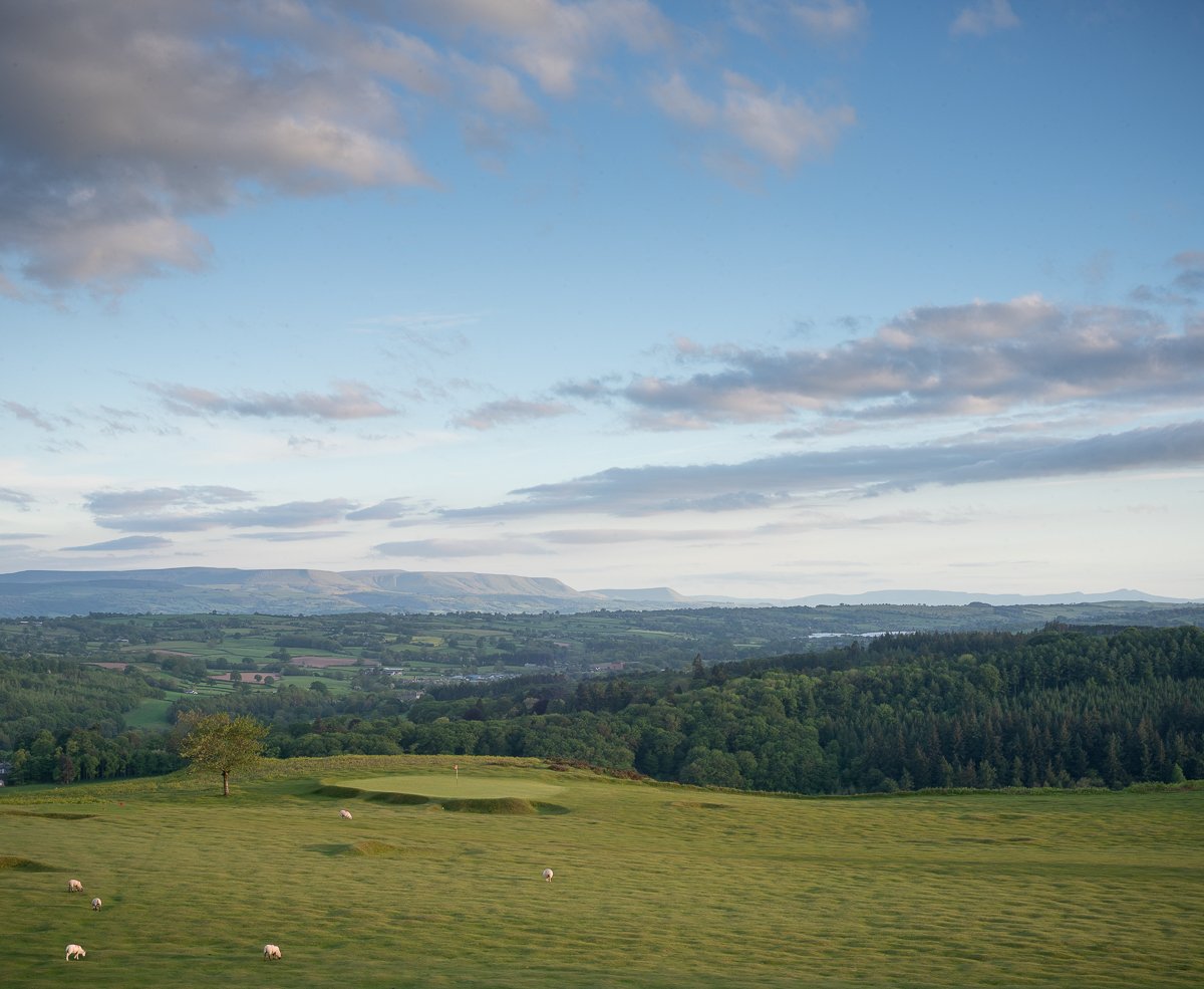 Bradnor Hill, Summer. Rush Oak Field Camera