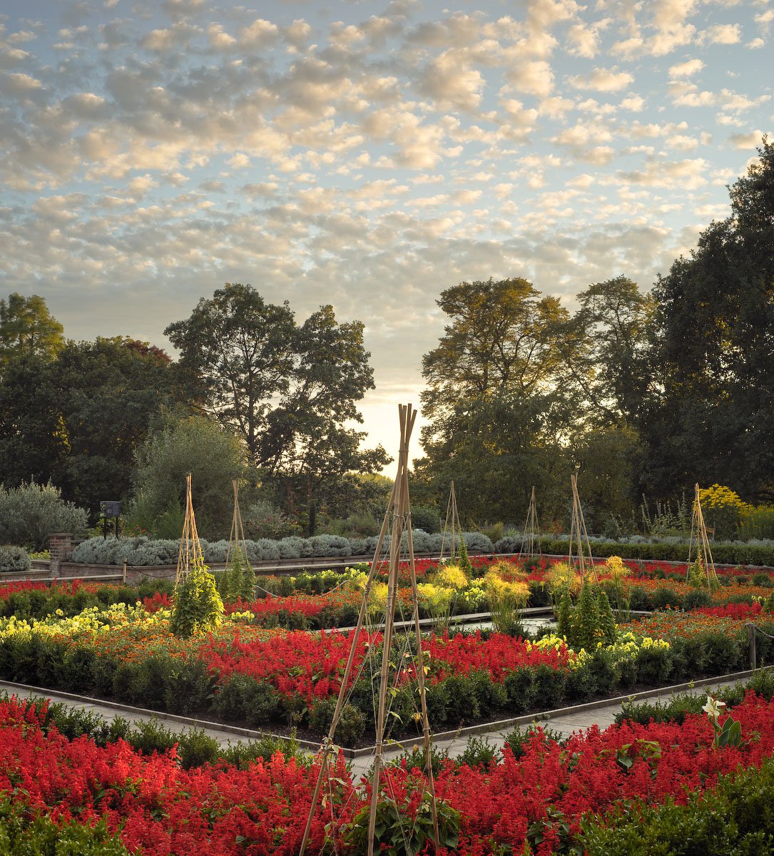 The Sunken Garden, August Sunset. Horniman Museum, 2015