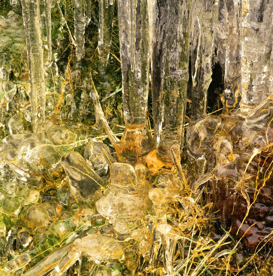 Icicles-and-Dry-Grass-Craig-Goch.jpg